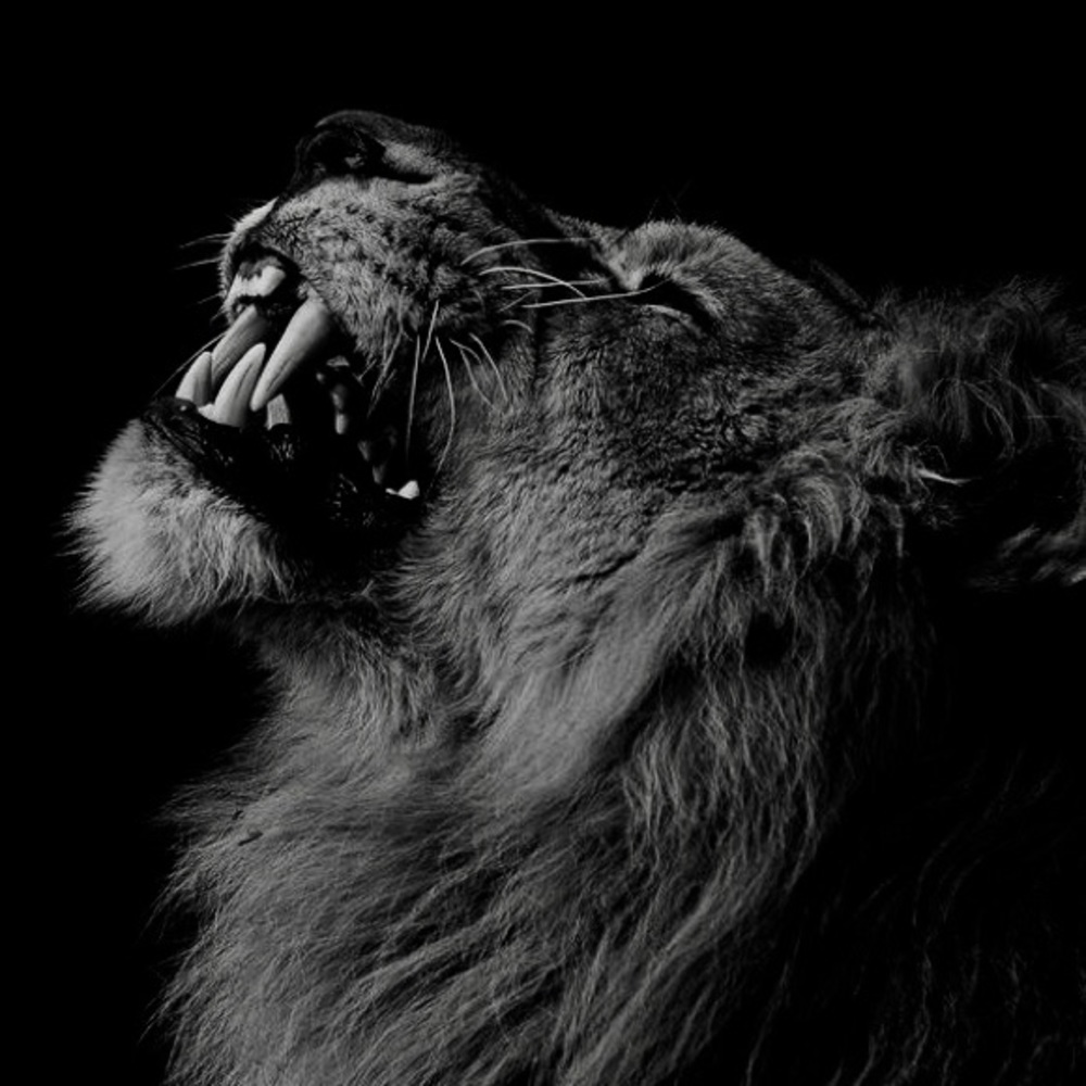 Meet your Posher, Marco